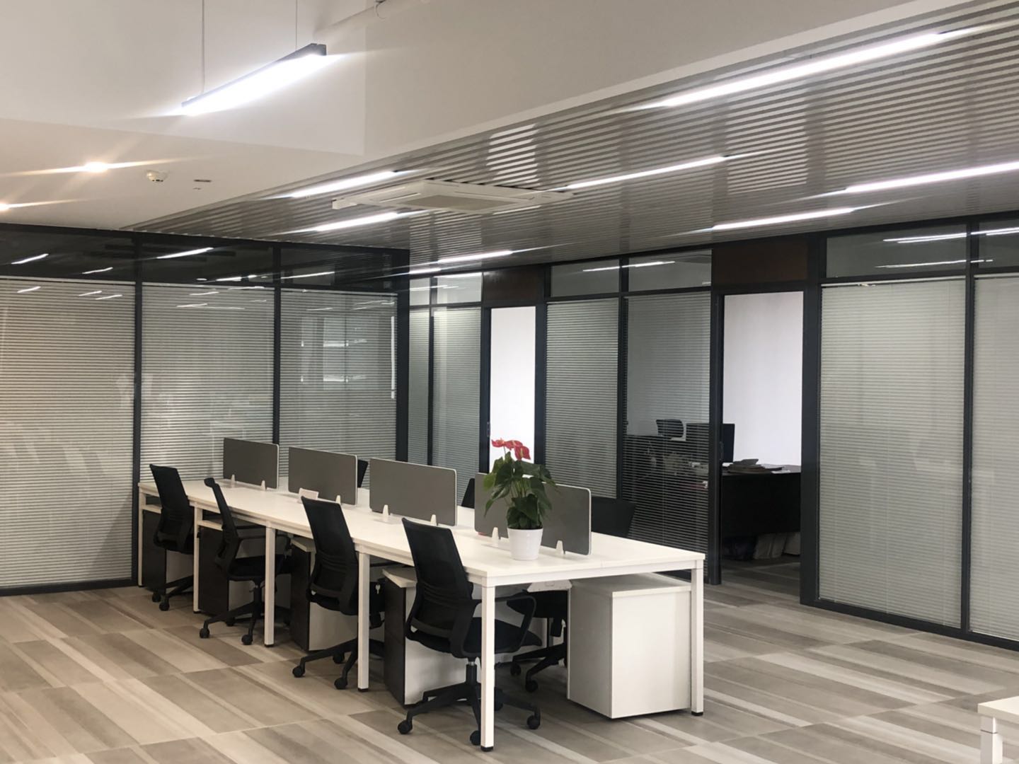 雙玻璃百葉桃子视频在线观看 雙玻璃百葉桃子视频在线观看