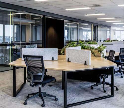 辦公室桃子视频在线观看